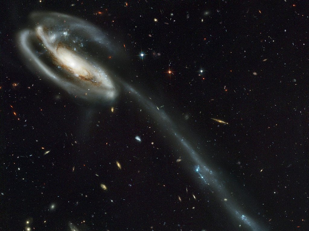 Tadpole, UGC 10214